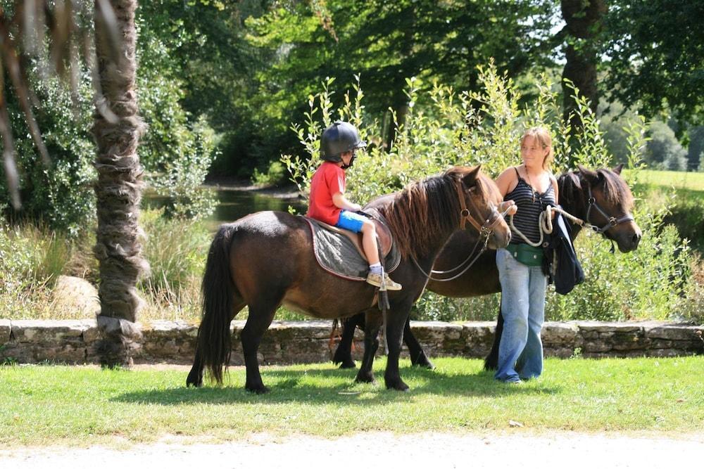 Hotel Domaine De L'Orangerie De Lanniron Quimper Esterno foto